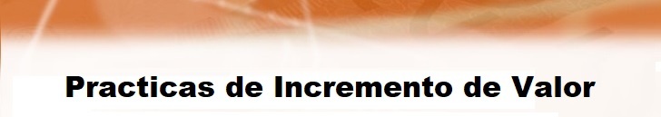 Practicas de Incremento de Valor